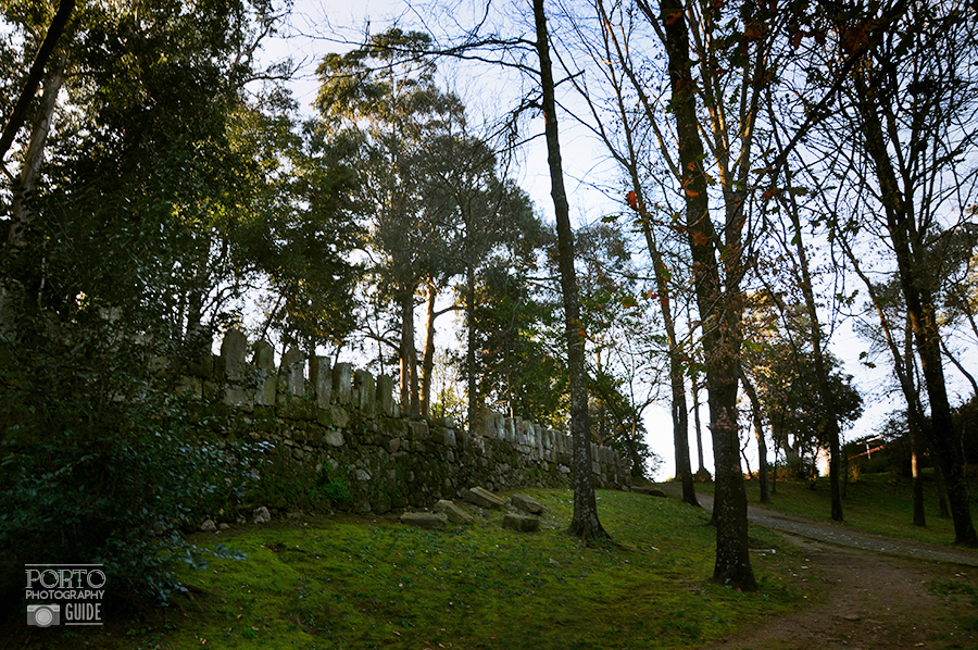 Arvores, Muro pedra - Quinta da Conceição Porto